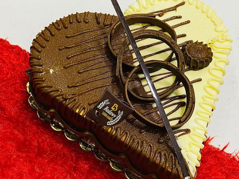 half-choclate-half-vanilia-cake